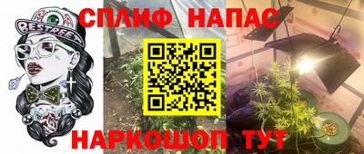 индика Новозыбков