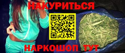 индика Новозыбков