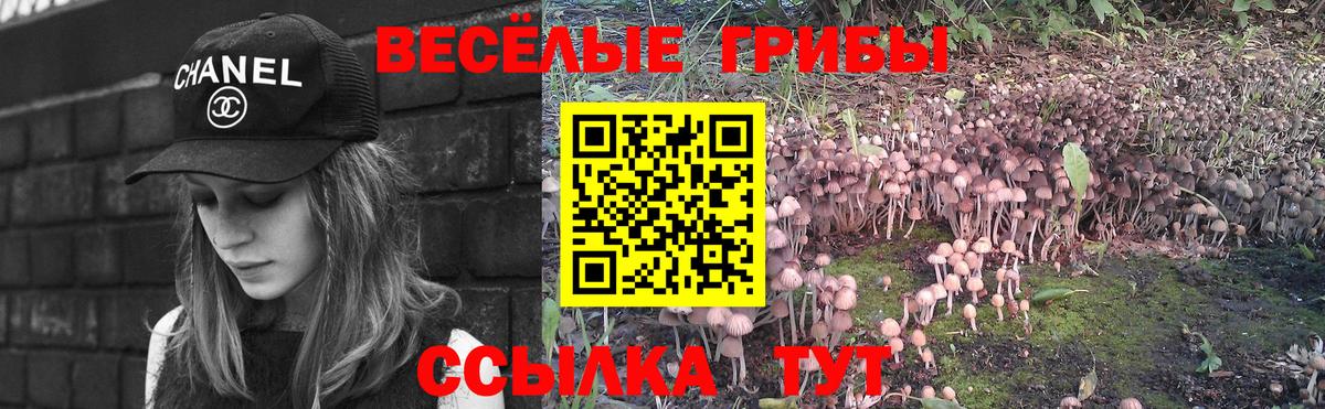 Псилоцибиновые грибы Cubensis  Вход с VPN  дарнет шоп  Янаул 